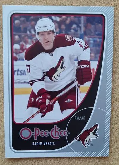 НХЛ Радим Врбата Финикс Койотис № 143