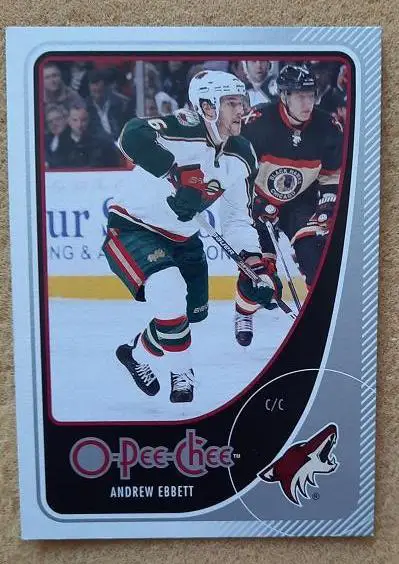 НХЛ Эндрю Эббетт Финикс Койотис № 185