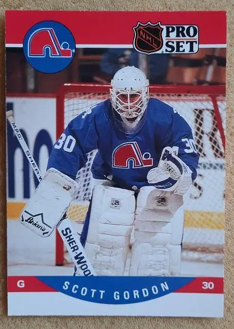 НХЛ Скотт Гордон Квебек Нордикс № 634