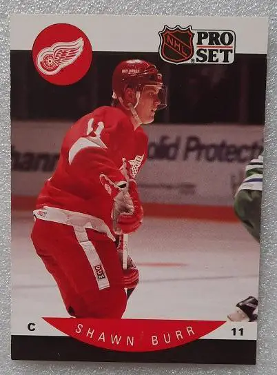 НХЛ Шон Бурр Детройт Ред Уингз № 66