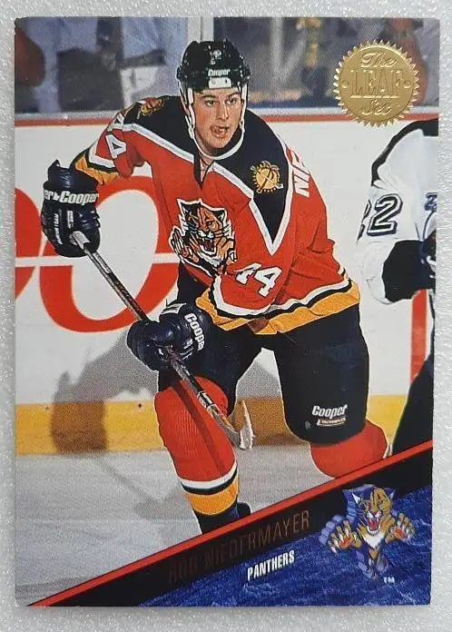 НХЛ Роб Нидермайер Флорида Пантерз № 293