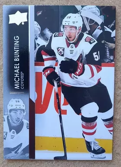 НХЛ Майкл Бантинг Аризона Койотис № 7