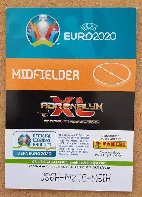 Штефан Ильзанкер Австрия № 41 евро 2020 1