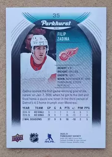 НХЛ Филип Задина Детройт Ред Уингз № 35 сильвер 1