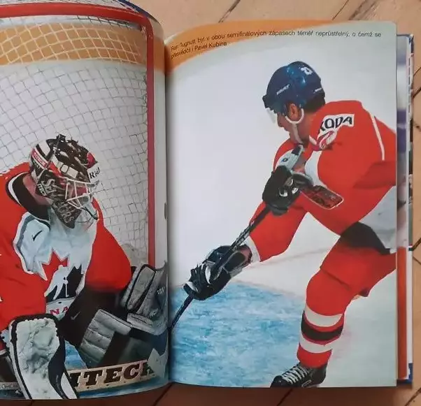 1999 чемпионат мира по хоккею Норвегия. 5