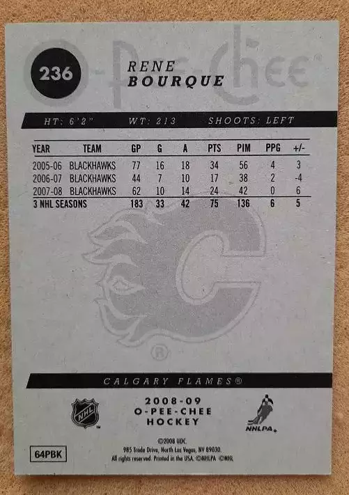 НХЛ Рене Бурк Калгари Флэймз № 236 1