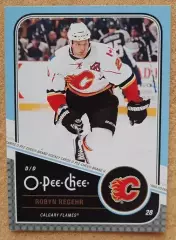 НХЛ Робин Регер Калгари Флэймз № 231