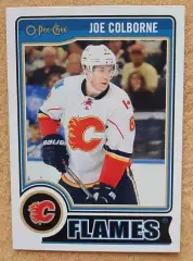 НХЛ Джо Колборн Калгари Флэймз № 173