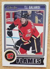 НХЛ Ти Джей Гальярди Калгари Флэймз Нижнекамск № 471
