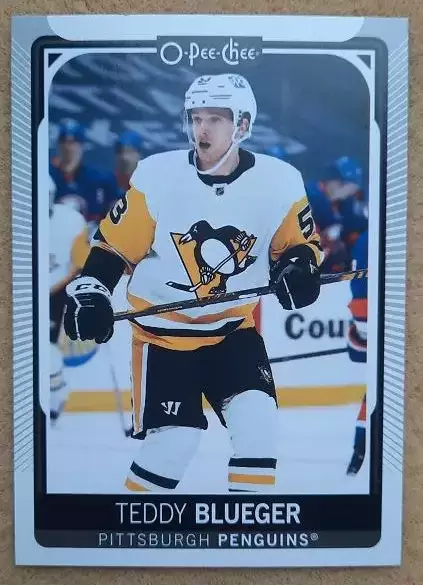 НХЛ Тедди Блюгер Питтсбург Пингвинз № 221