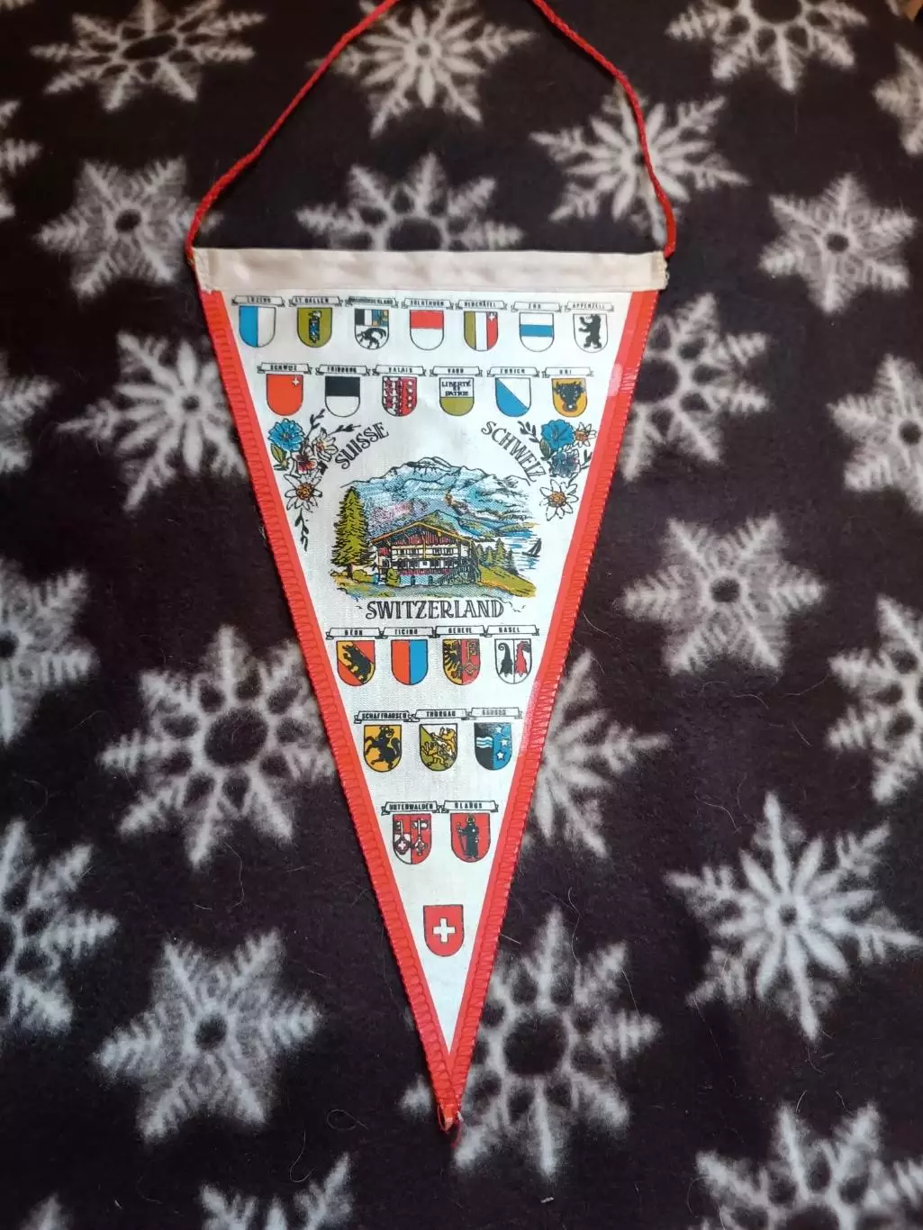 вымпел Швейцария