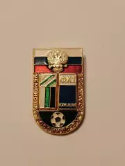 Знак Торпедо - текстильщик Камышин 95г.