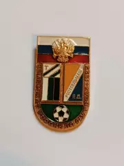 знак торпедо-ростсельмаш 95 г.