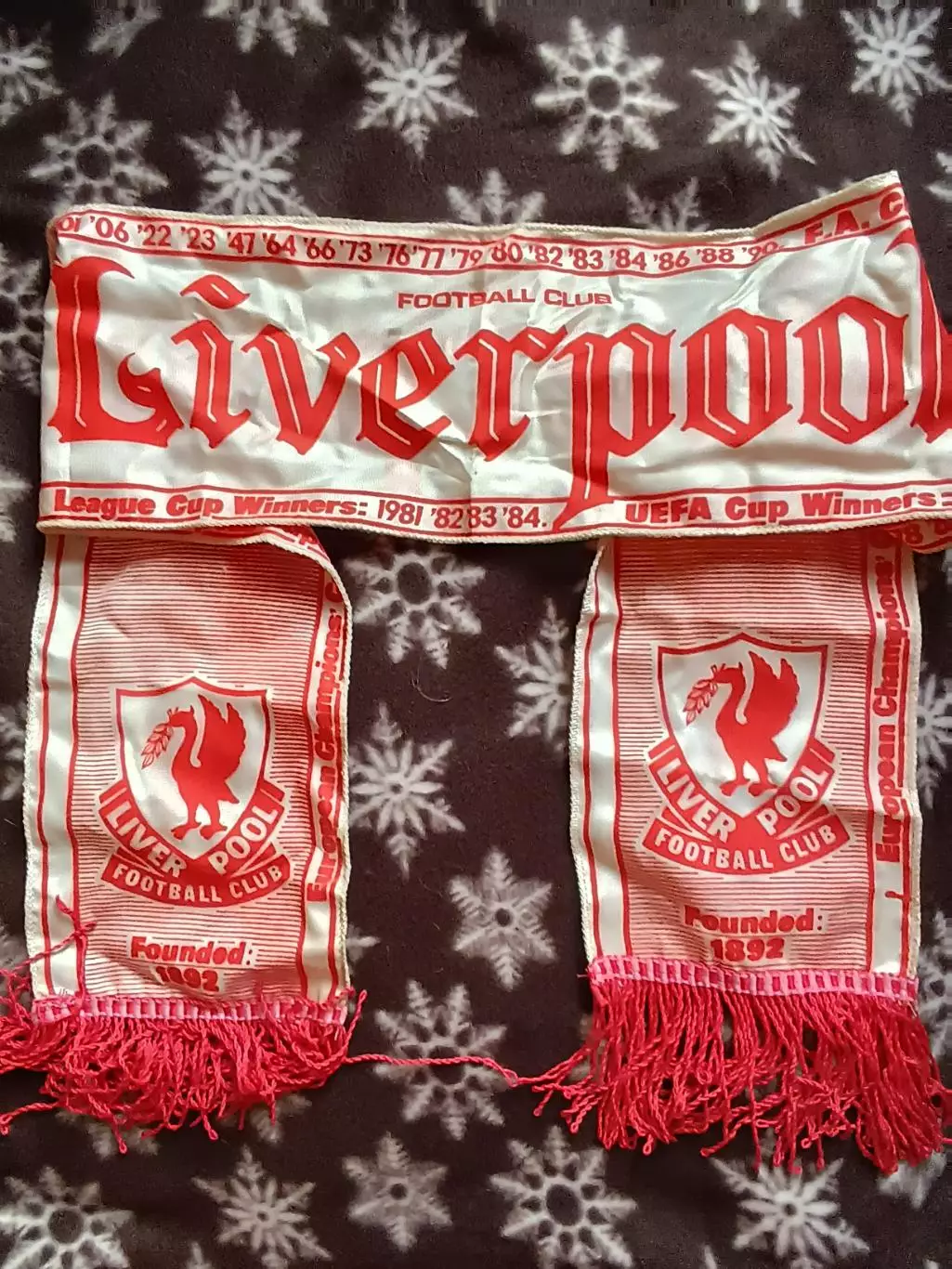 Шарф Ливерпуль (Фотон)