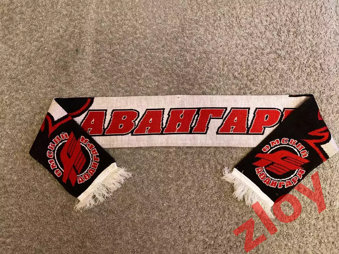 Шарф Авангард Омск 1