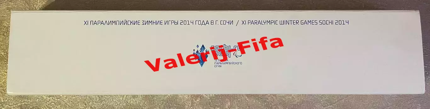 Факел Паралимпийских игр Сочи 2014 1