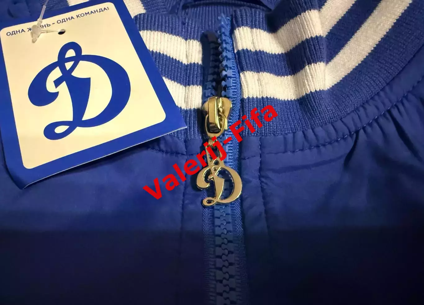 Куртка ветровка Динамо (M, L, XL) 5