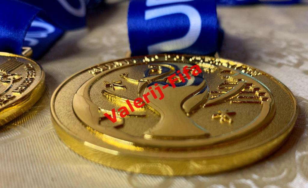 Медаль Уефа Евро 2016. Эксклюзив 7