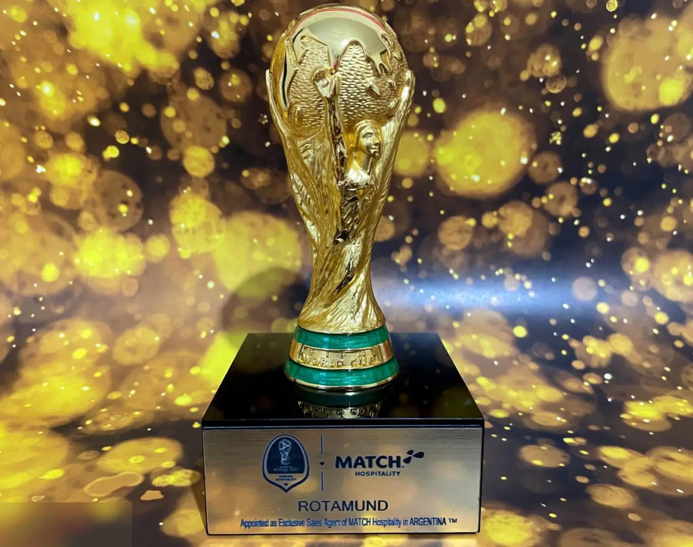 Редкий Кубок Сборной Аргентины Fifa 2014 - 2018