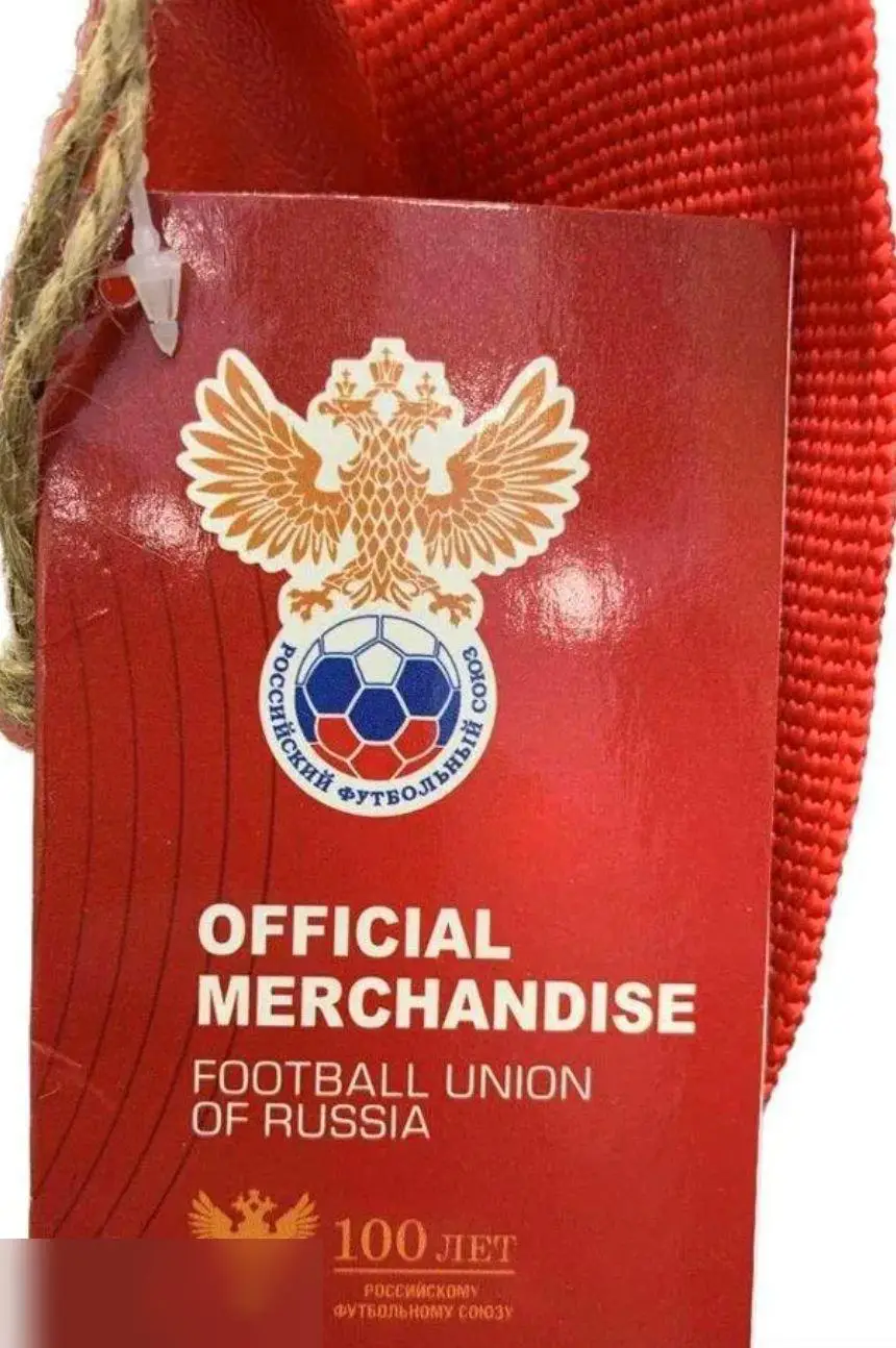 АКЦИЯ! Эксклюзивная Сумка на плечо Сборная России по футболу Рфс 5