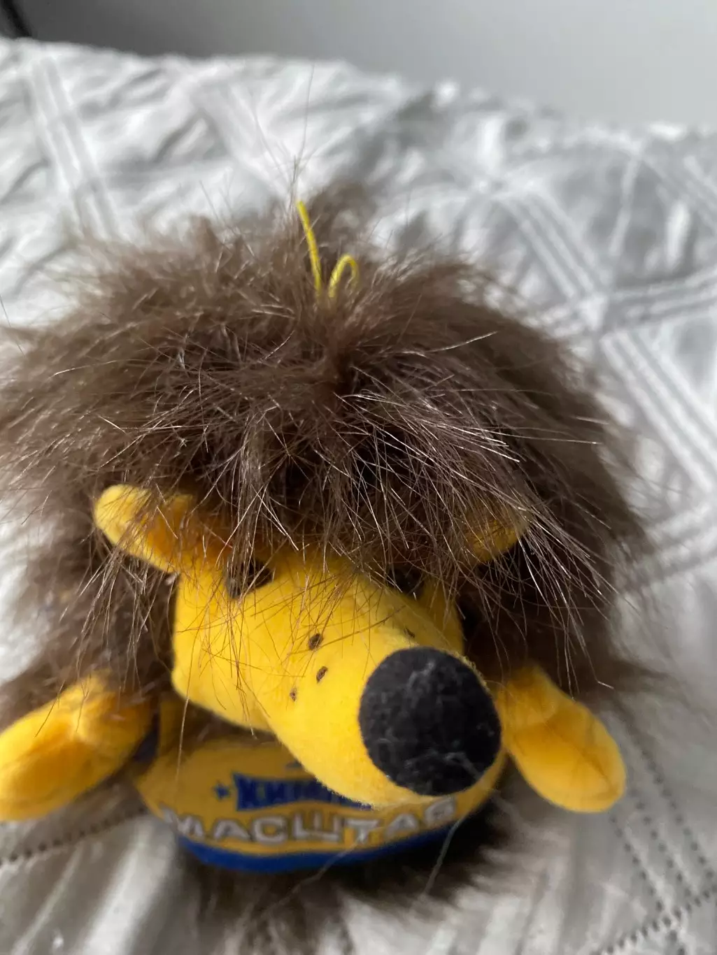 Маскот бк Химки (Московская обл) 1