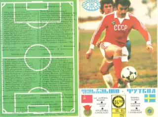 СССР -Швеция 18.04.1987. Игра в Тбилиси.