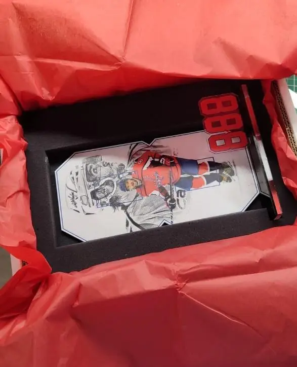 Хоккеисты НХЛ 5