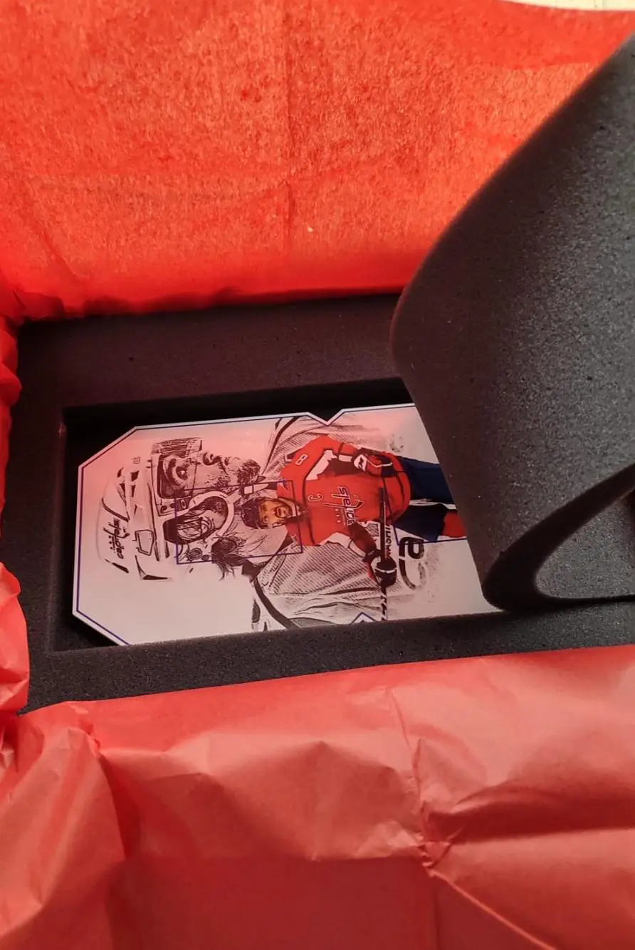 Хоккеисты НХЛ 7