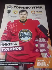 Горняк-УГМК Верхняя Пышма - Торпедо-Горький+Химик Воскресенск+Звезда 2025/2026