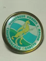 Федерация хоккея с мячом Свердловской области