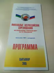 Сыктывкар 2005 Архангельск Первоуральск Красноярск Иркутск Кемерово Горький