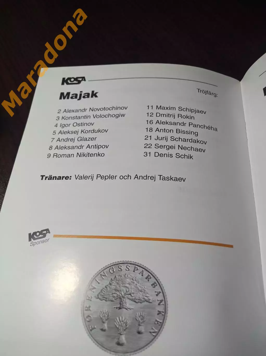 Кубок Мира Хельсингланд Швеция 2004 Маяк Краснотурьинск Первоуральск 2