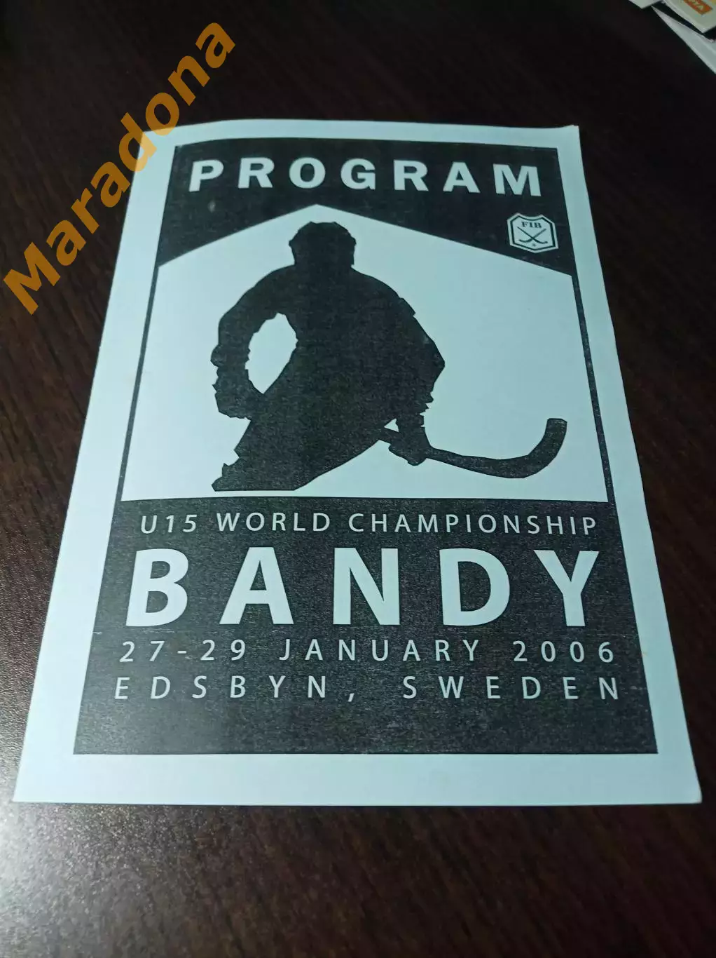 Чемпионат мира юноши Эдсбюн Швеция 2019 Россия Финляндия Эстония Казахи Польша