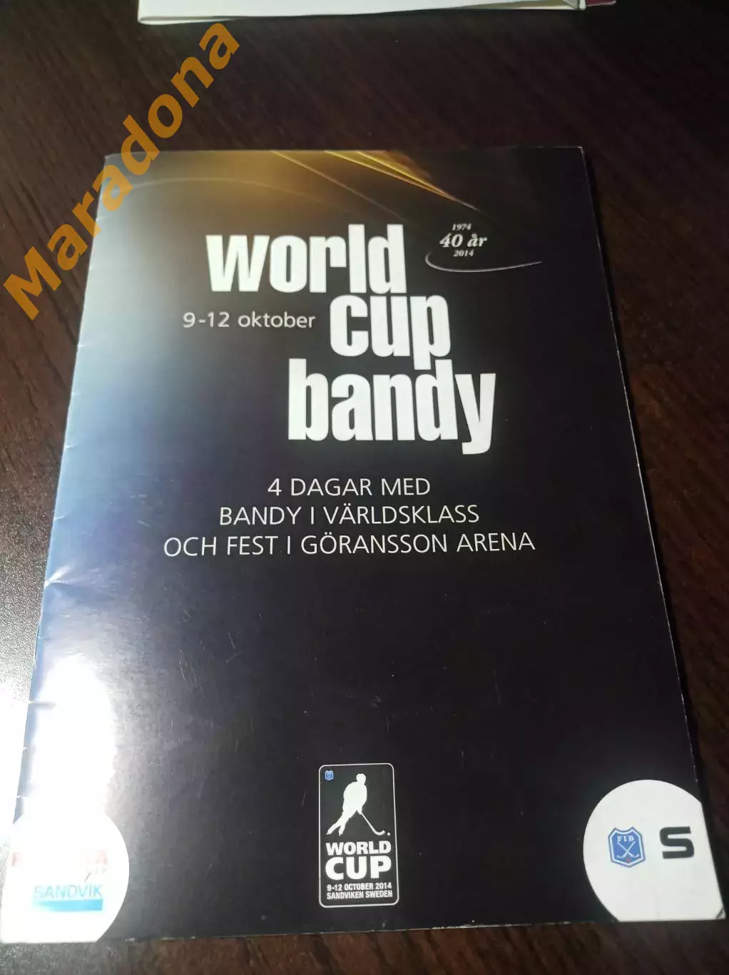 Кубок мира Швеция 2014 Динамо Москва Иркутск Водник Зоркий Кузбасс Енисей Хабара