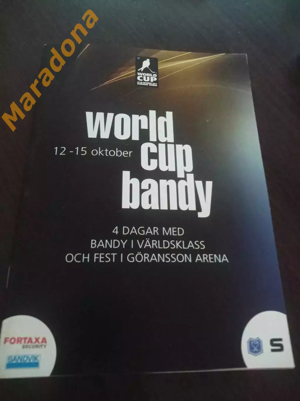 Кубок мира Сандвикен Швеция 2017 Иркутск Хабаровск Красноярск Первоуральск