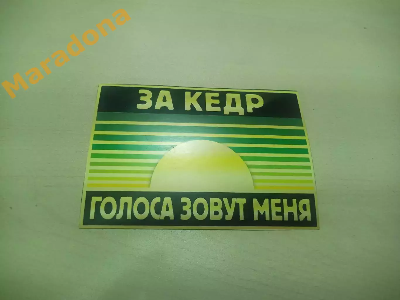 Стикер Кедр Новоуральск голоса зовут меня за Кедр!