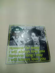 Стикер Кедр Новоуральск фанат как далеко и где бы я не был я всегда буду любить