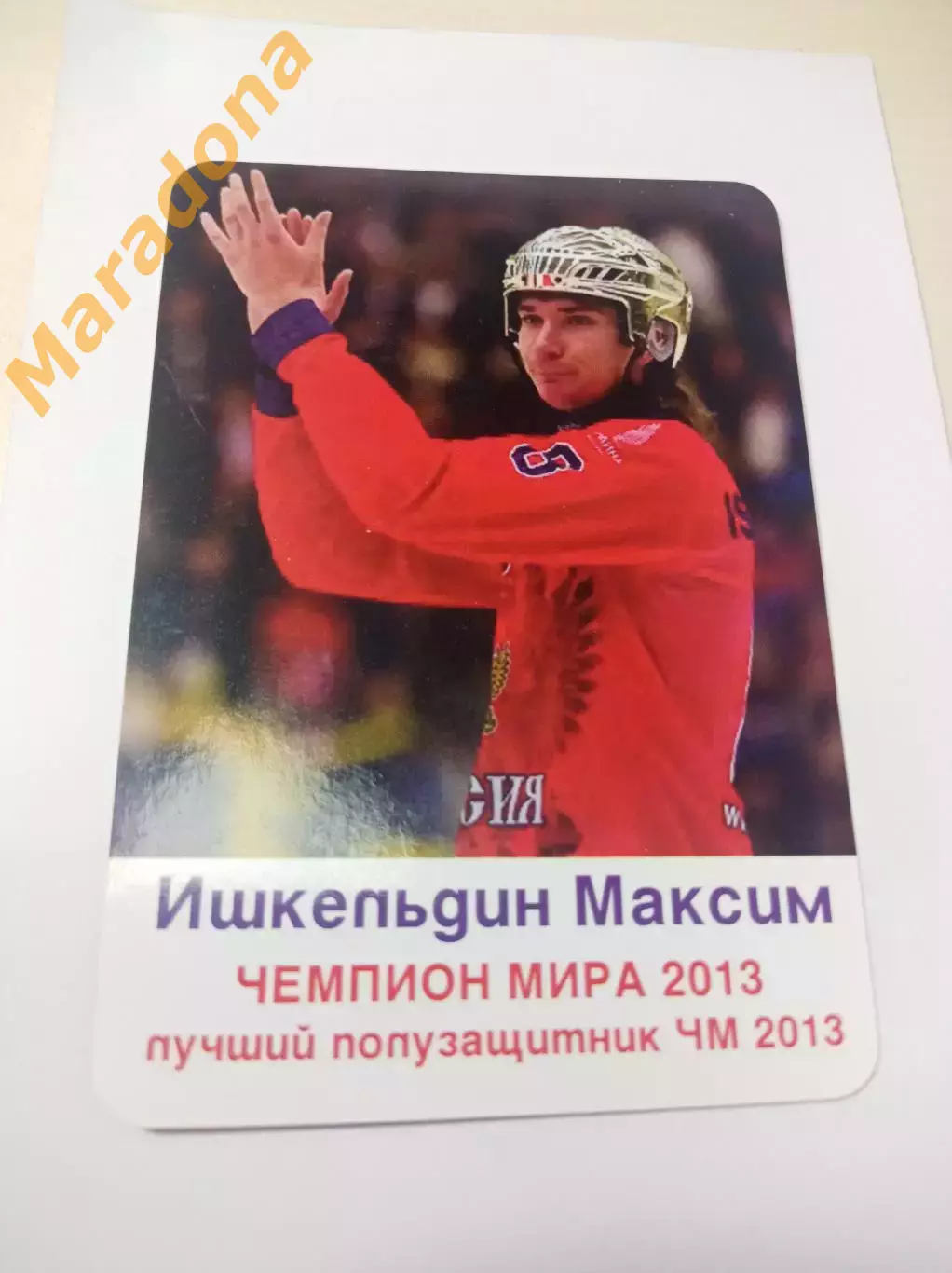 Максим Ишкельдин Чемпион мира 2013 Новосибирск Зоркий Хабаровск Енисей