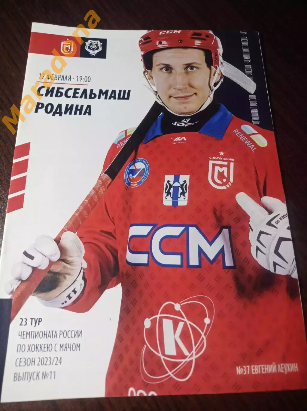 Сибсельмаш Новосибирск - Родина Киров 2023/2024