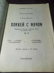 СКА-Зенит Екатеринбург - Агрохим Березники 1994/1995