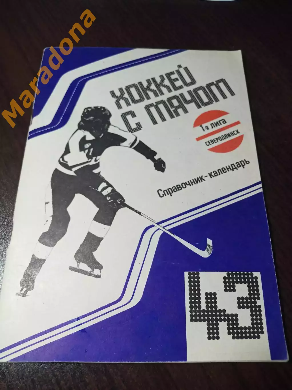 Хоккей с мячом Северодвинск 1990/1991