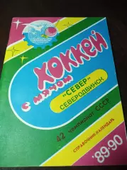 Хоккей с мячом Северодвинск 1989/1990