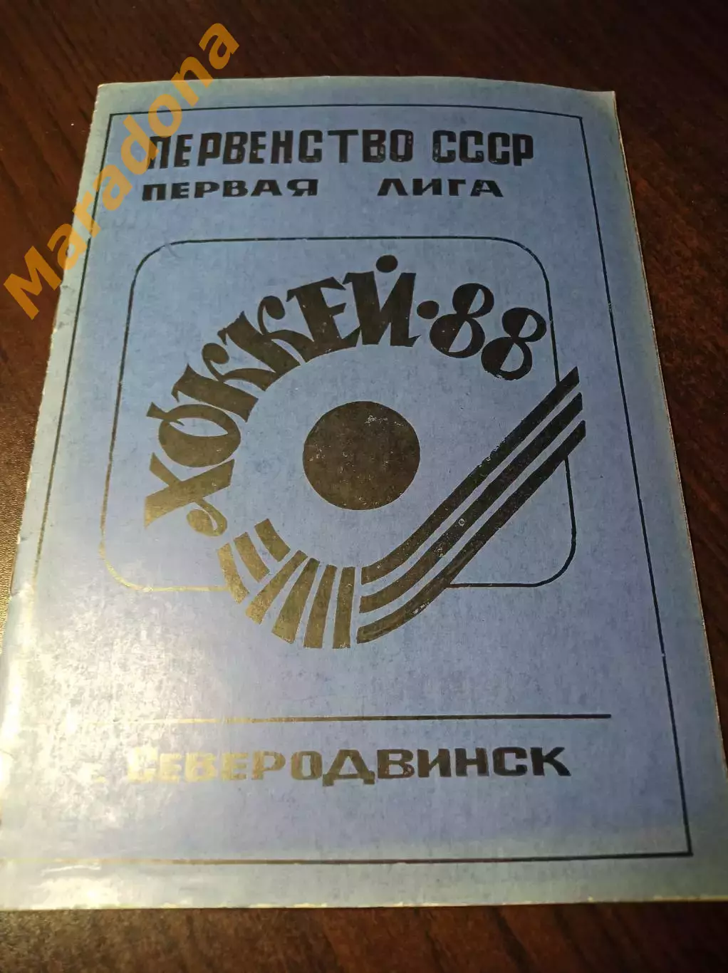 Хоккей с мячом Северодвинск 1987/1987