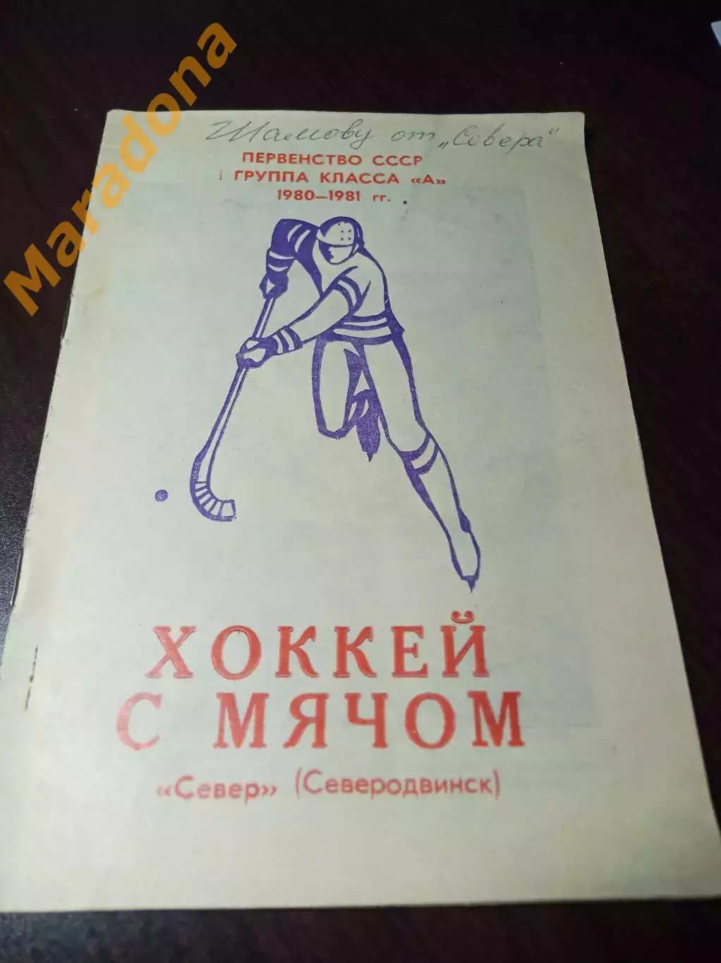 Хоккей с мячом Северодвинск 1980/1981