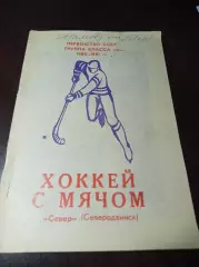 Хоккей с мячом Северодвинск 1980/1981