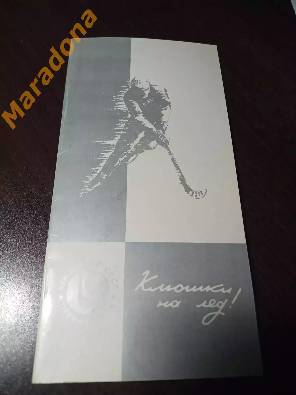 Хоккей с мячом Новодвинск 1983/1984