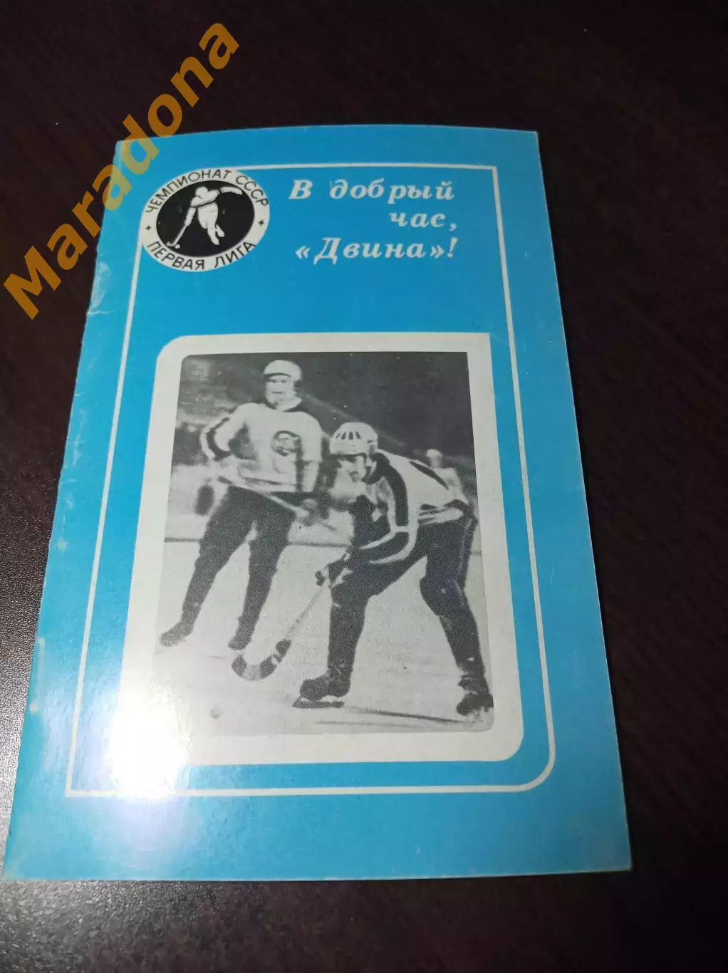 Хоккей с мячом Новодвинск 1982/1983