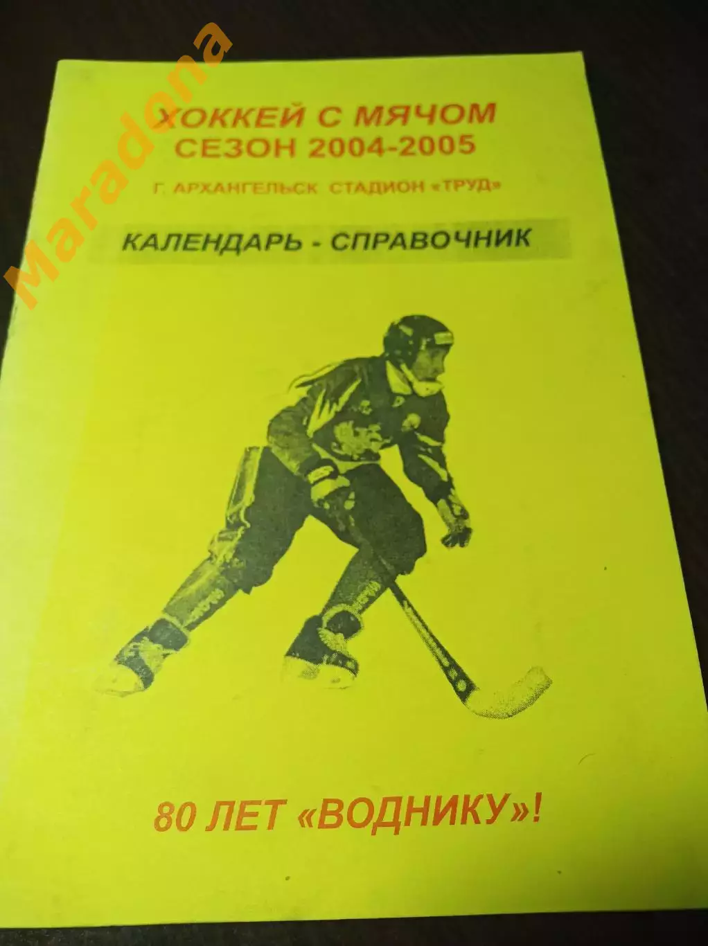 Хоккей с мячом Архангельск 2004/2005