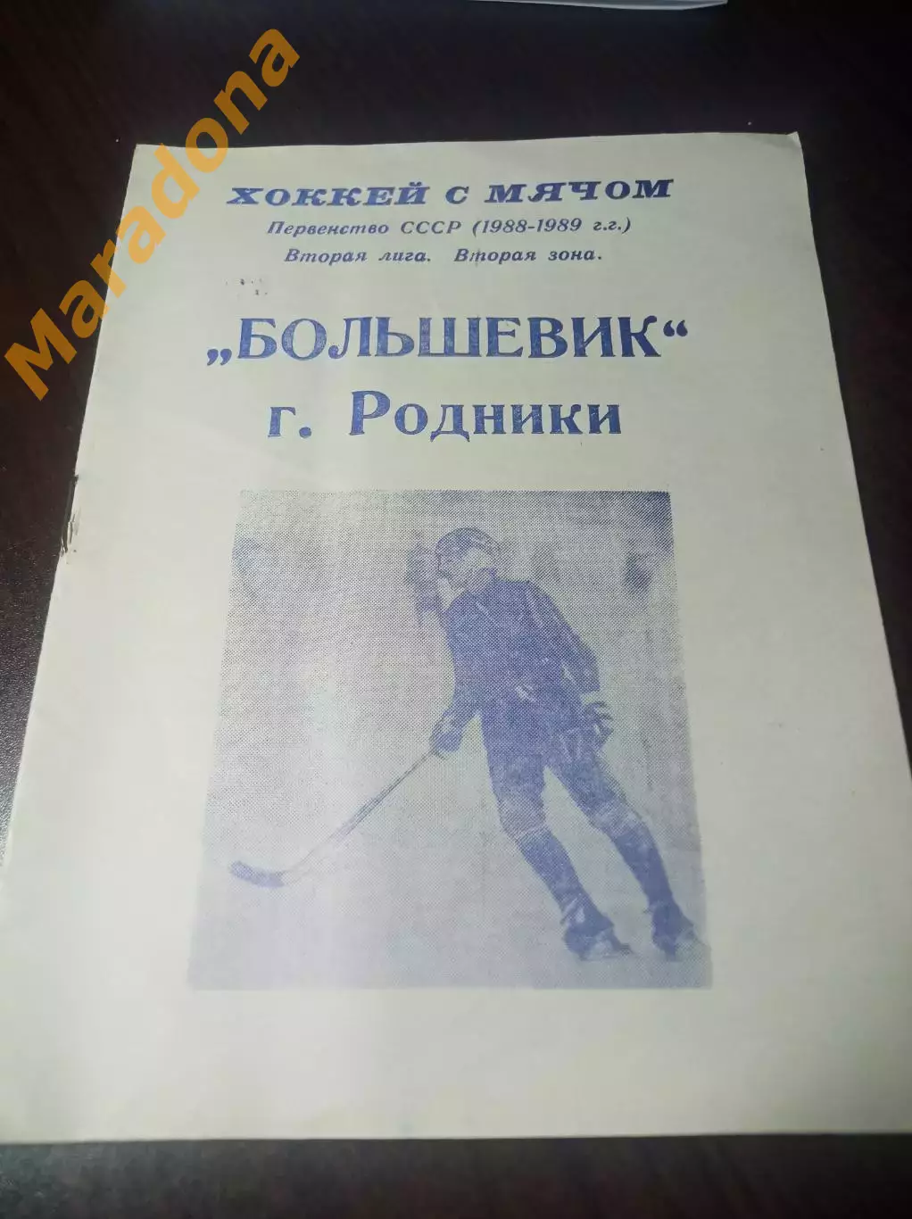 Хоккей с мячом Родники/Иваново 1988/1989
