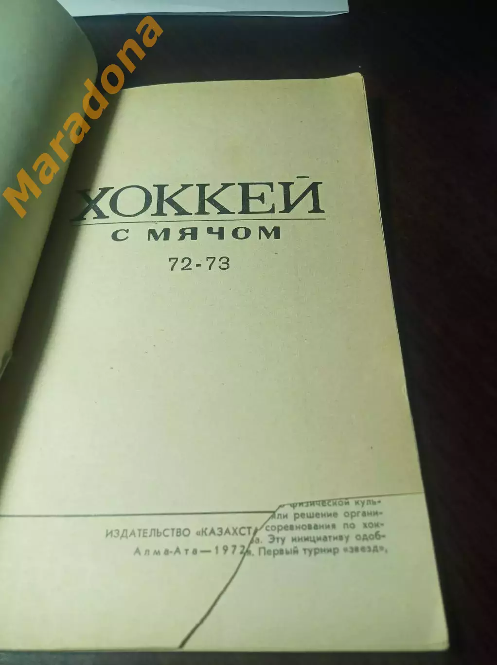 Хоккей с мячом Алма-Ата/Казахстан 1972/1973 1